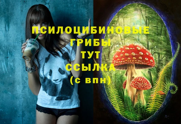 индика Бородино
