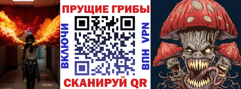 Галлюциногенные грибы Psilocybe  наркотики  Долинск 