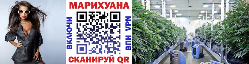 Марихуана планчик  OMG маркетплейс  Долинск 